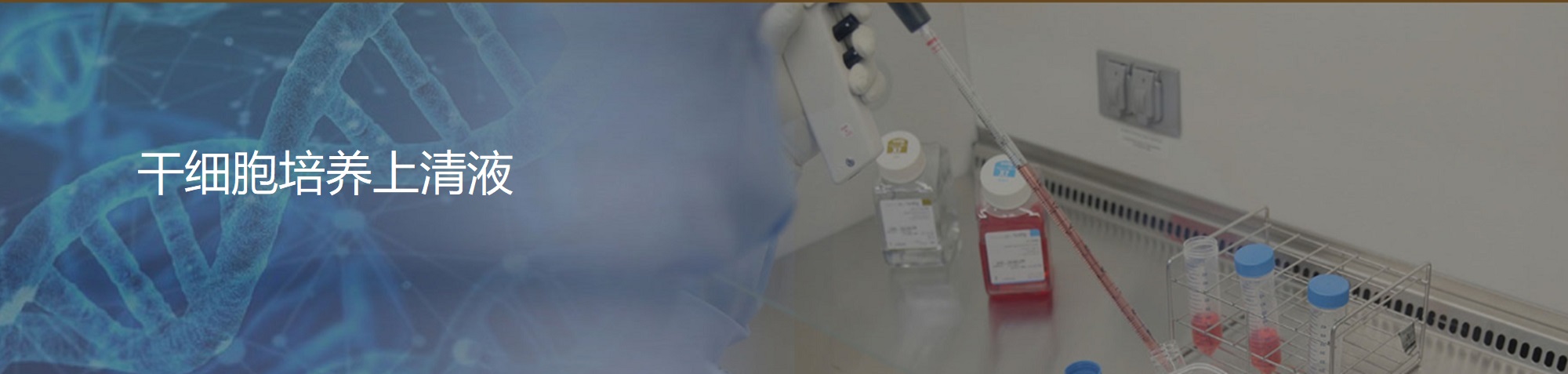 干细胞培养上清液
