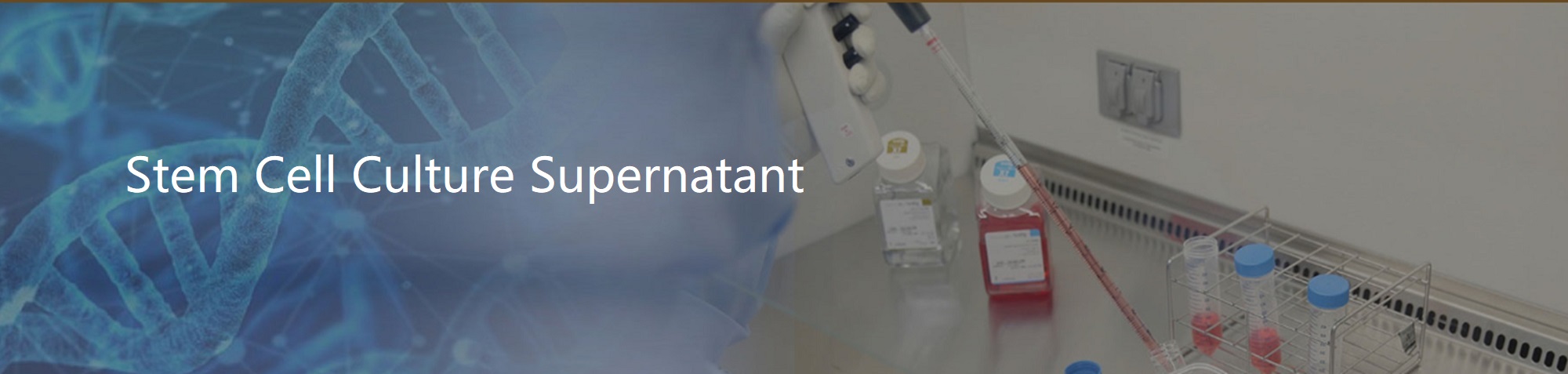 Stem Cell Culture Supernatant