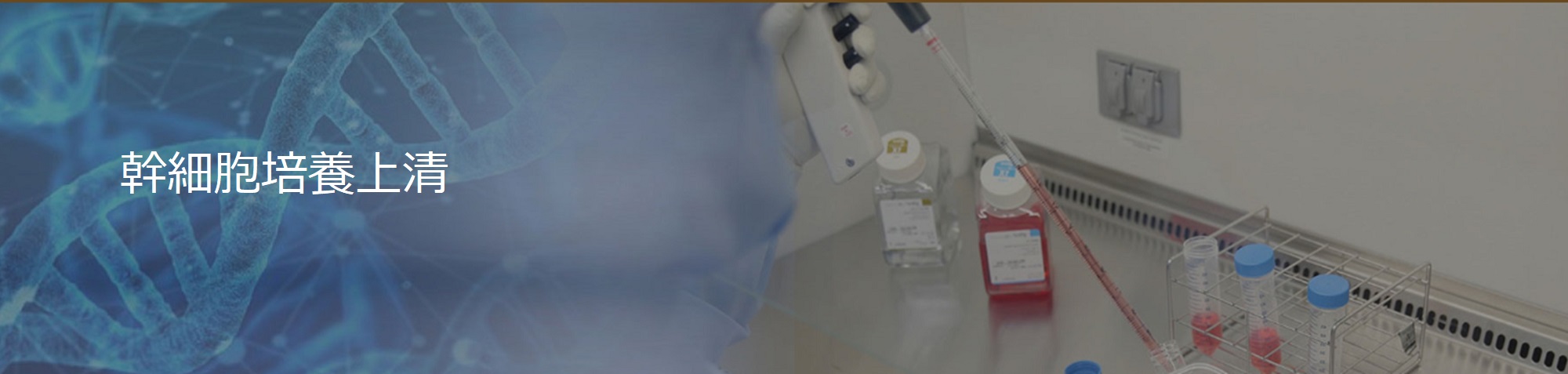 幹細胞培養上清