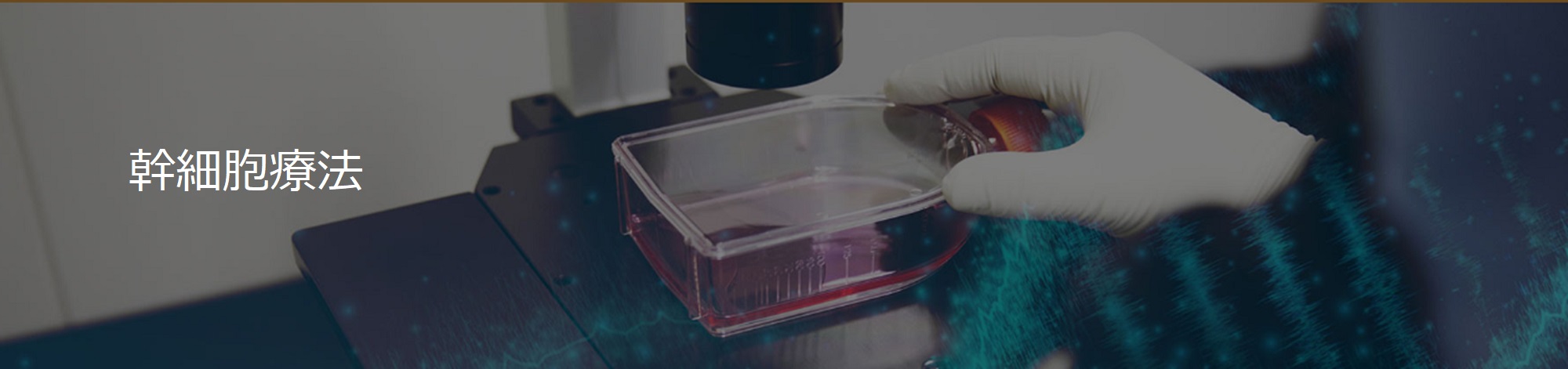 幹細胞療法