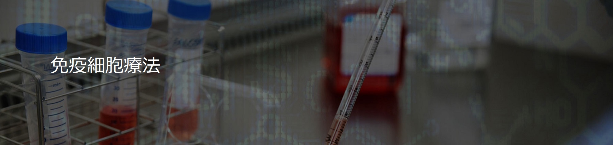 免疫細胞療法